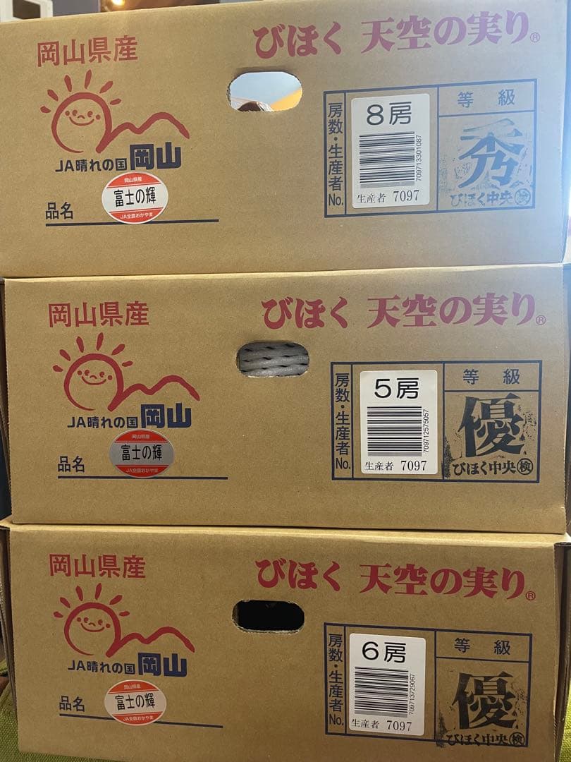 ⑩【岡山県産】富士の輝　約5キロ