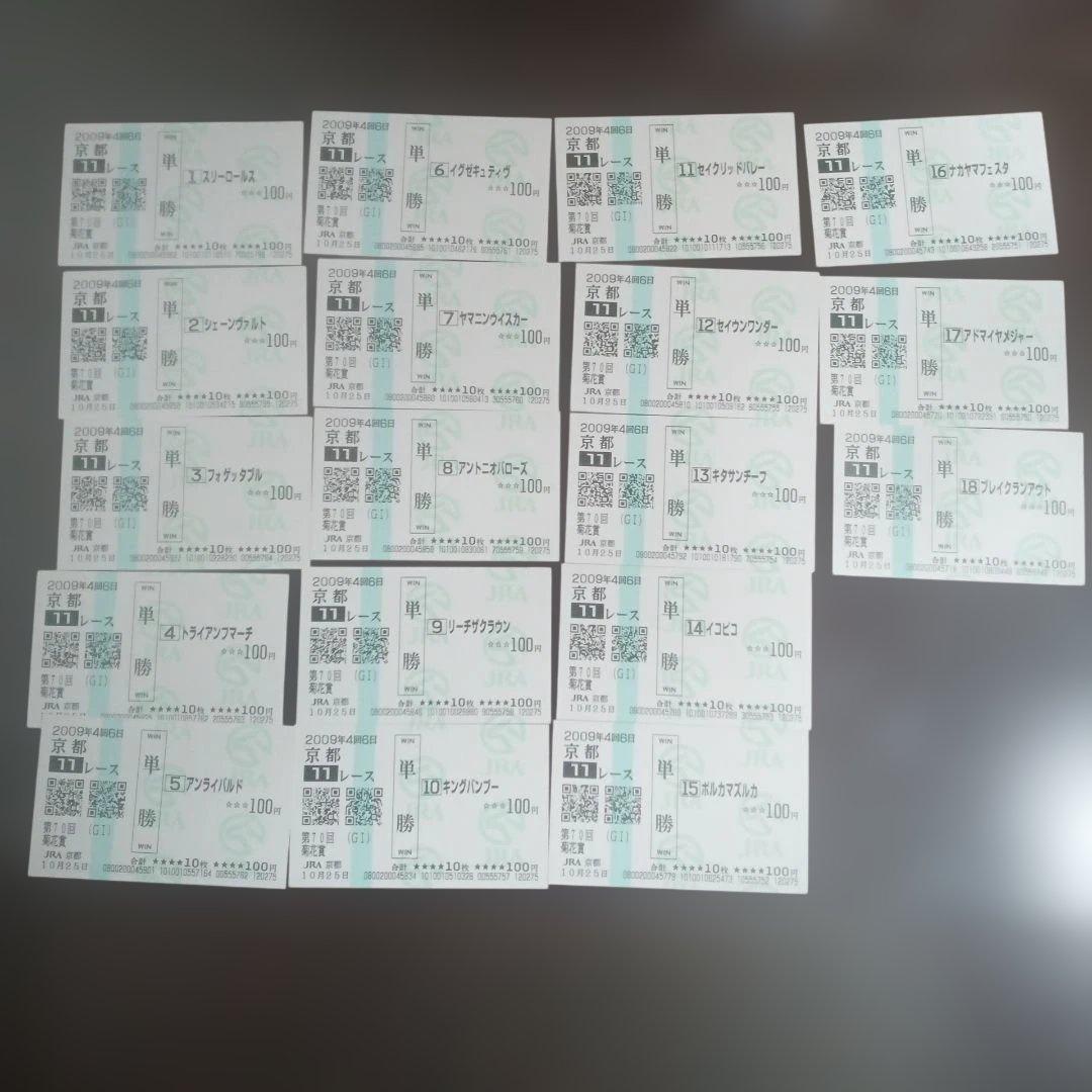 2009年第70回菊花賞　現地全頭単勝馬券