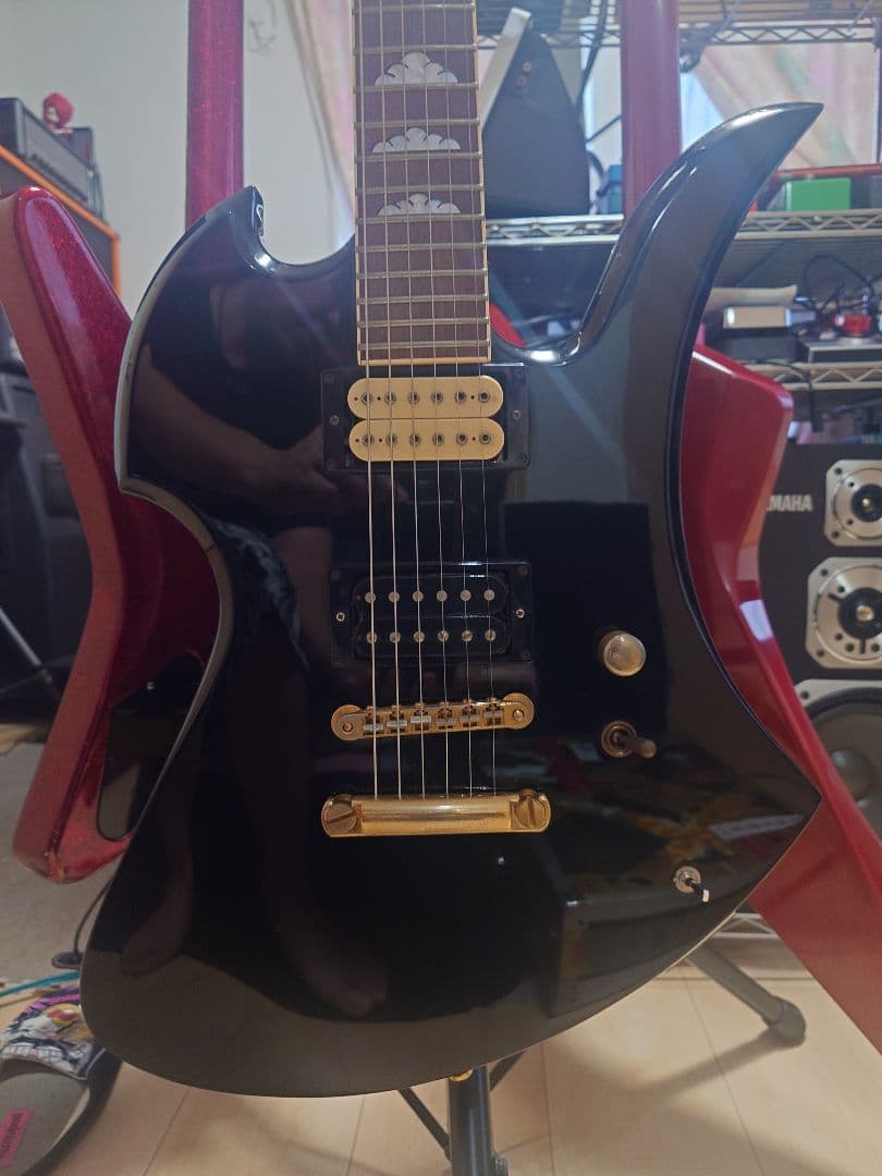 hideモデルモッキンバード　FERNANDS