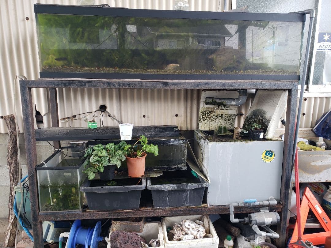 引取限定　1800　オーバーフロー水槽　アクリル　濾過槽　レイシーポンプ