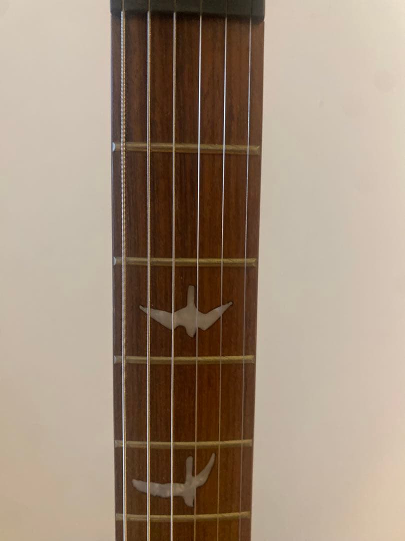 ギター PRS SE Custom 24