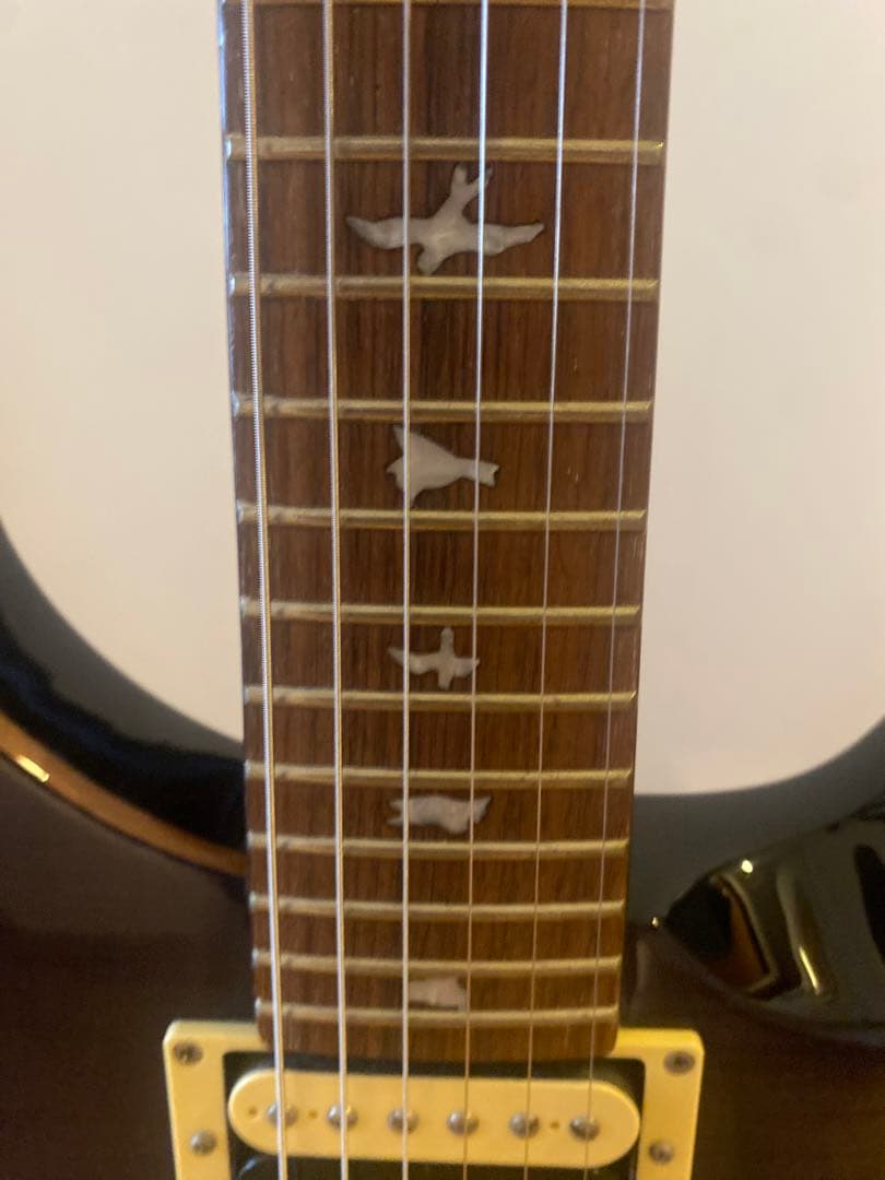 ギター PRS SE Custom 24