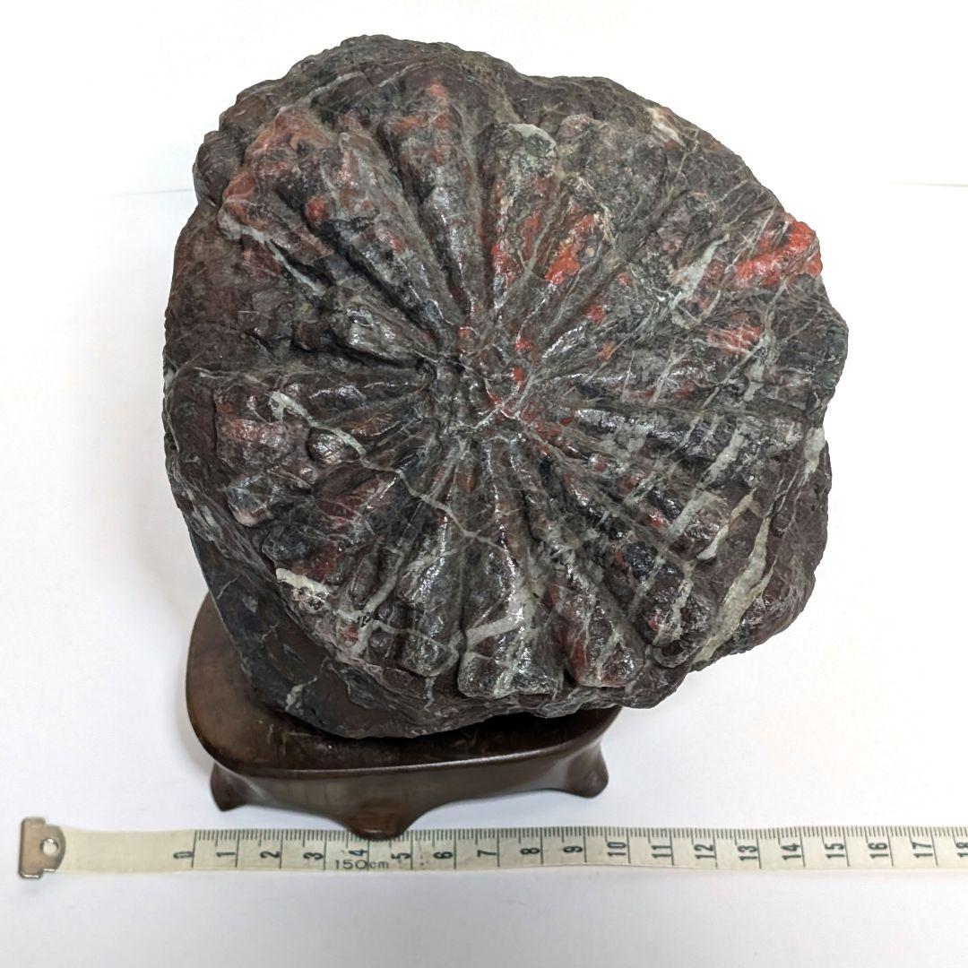 鑑賞石　オブジェ　置物