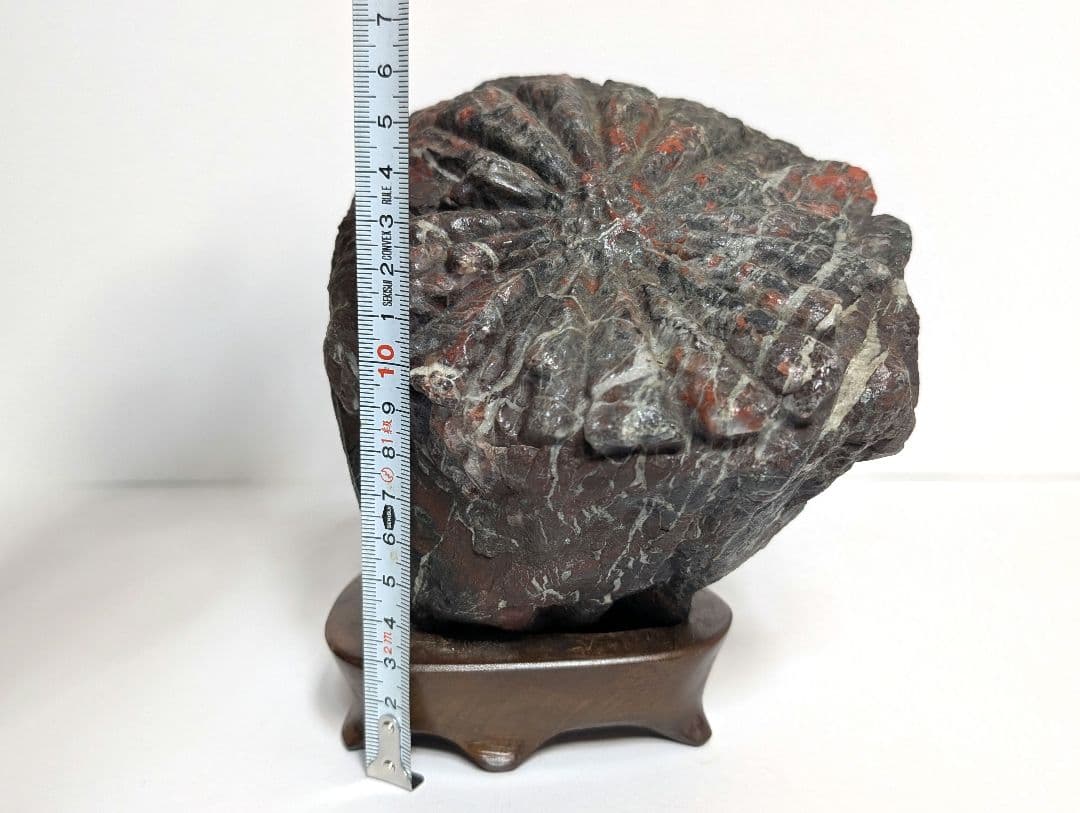 鑑賞石　オブジェ　置物