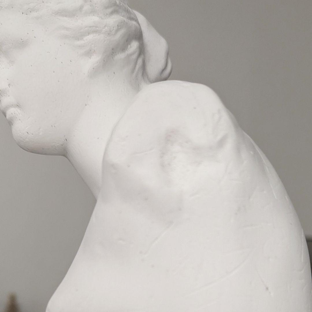 激レア【 ミロのヴィーナス像 】横浜 岡石膏像製作所 石膏像 美品 彫刻