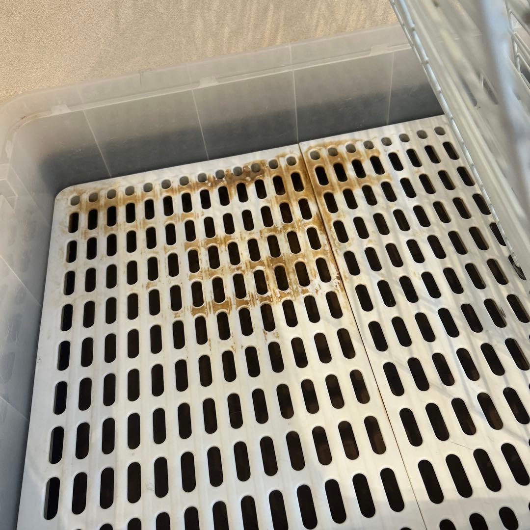 うさぎケージ　ミニマルランド　うさぎのかんたんおそうじケージ　ブラウンH60