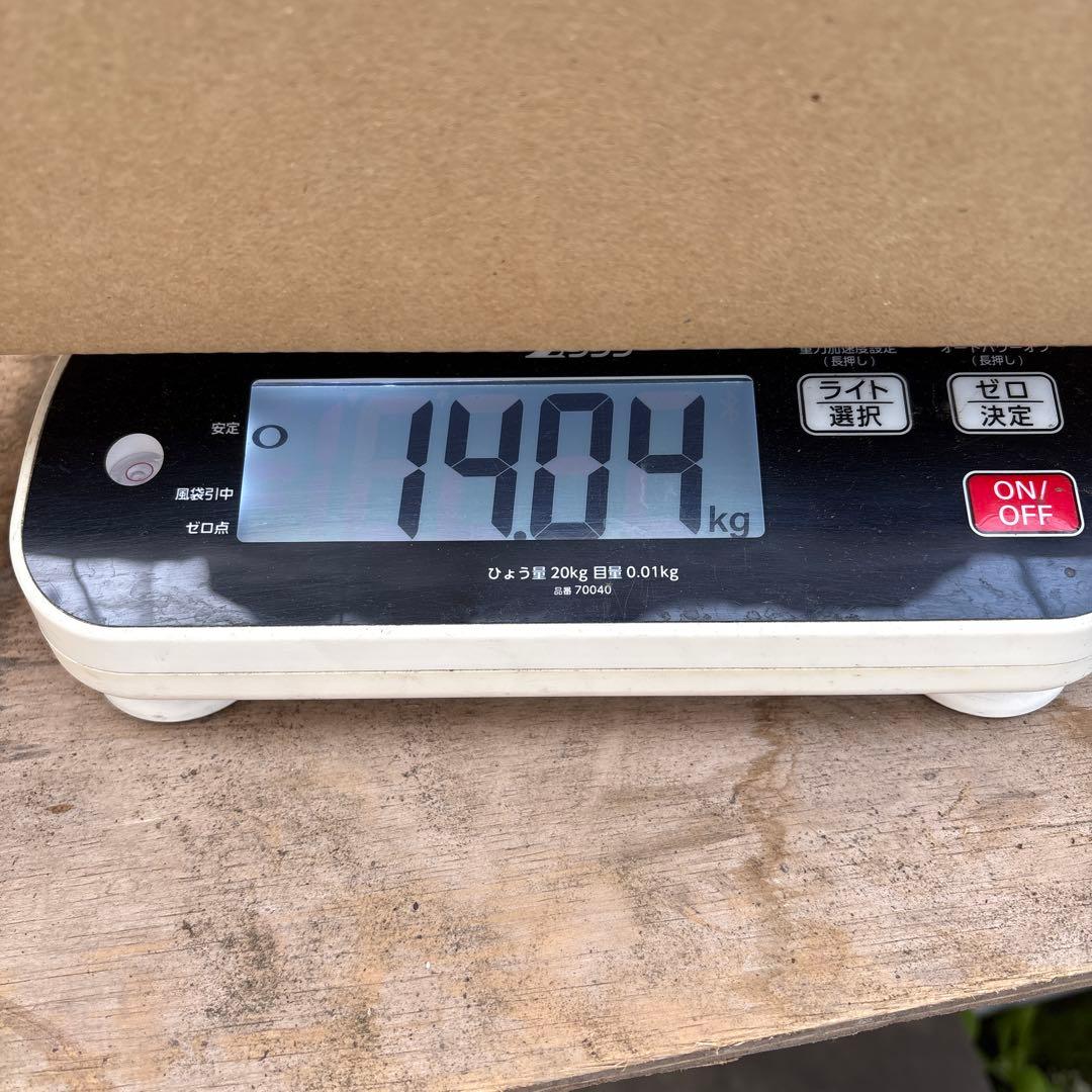 摘果マンゴー2/7❷