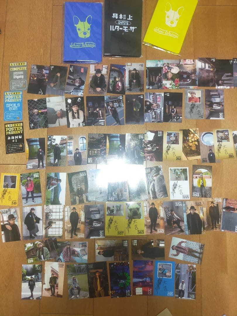 上杉昇　WANDS　コレクタブルカード　セット　ファイル