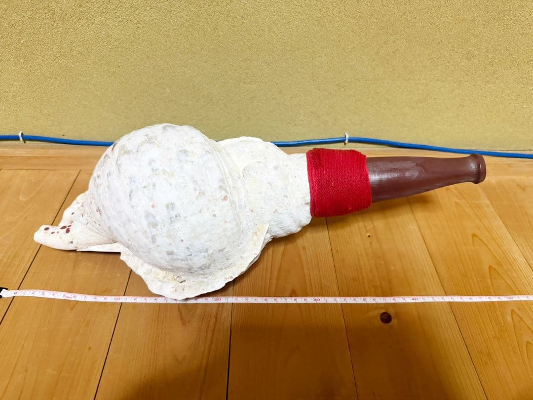 お正月特別価格‼️最大級肉厚修験道法螺貝47㎝　肉厚　山伏ホラガイ　ほら貝