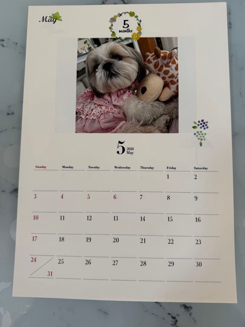 愛犬ちくわ壁掛けカレンダー【オリジナル】