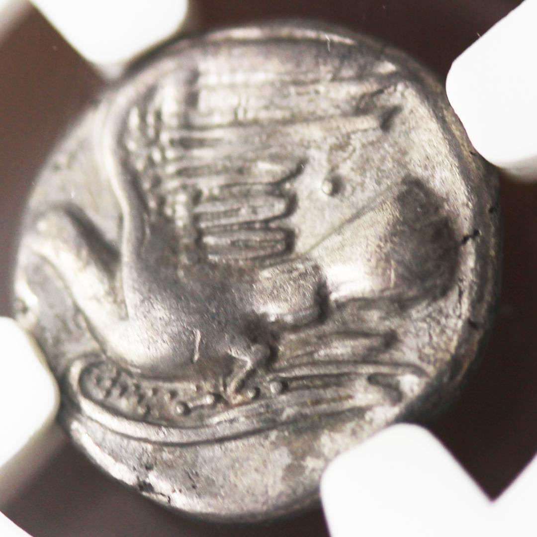 幻獣キマイラ【 VF NGC】シキオン　シキュオン オルボス銀貨　古代ギリシャ