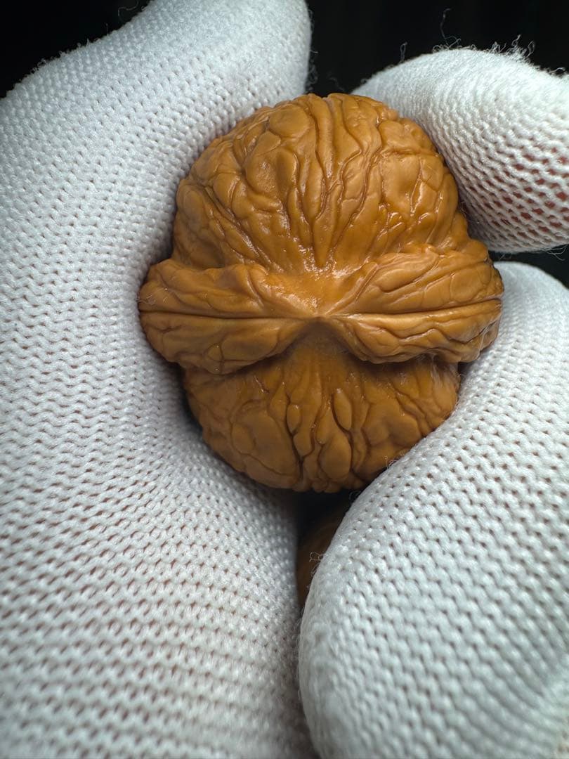 遊び胡桃 40元宝極太稜(無修正)