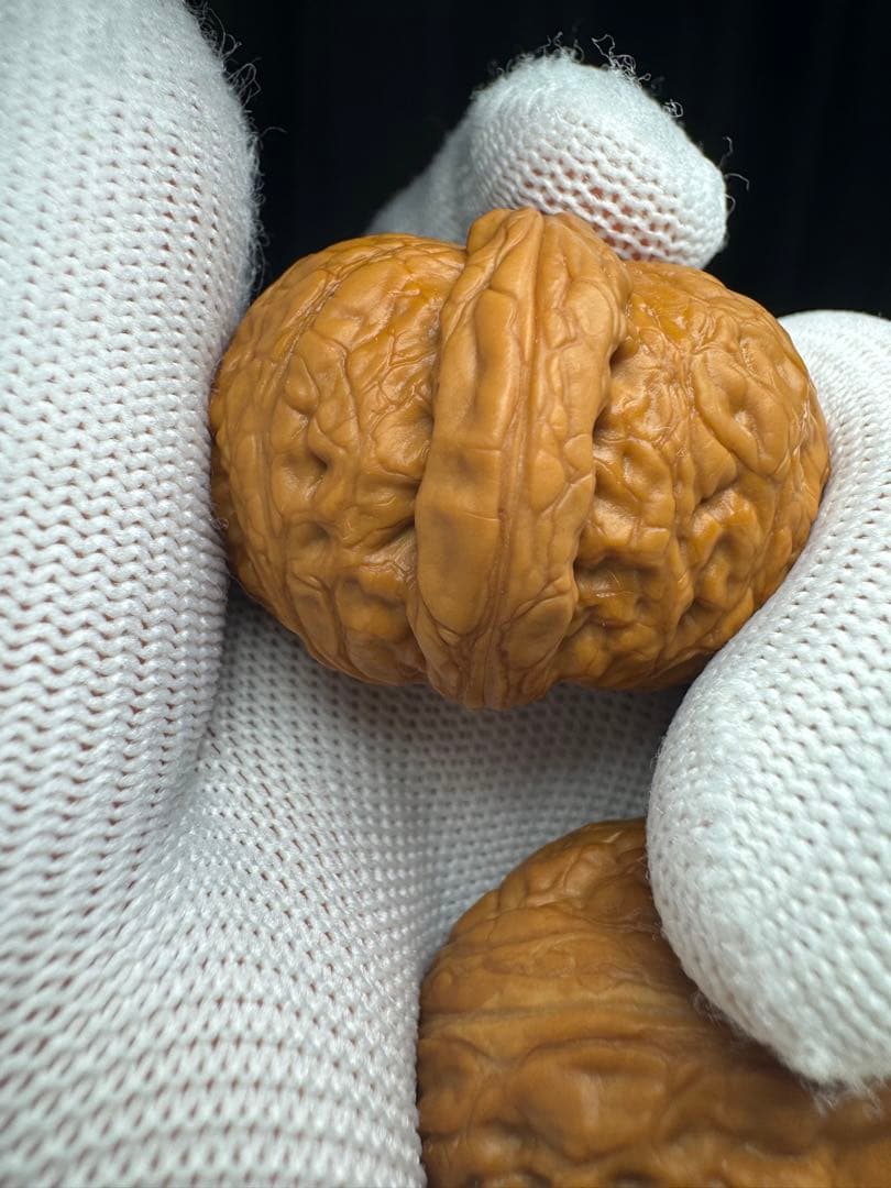 遊び胡桃 40元宝極太稜(無修正)