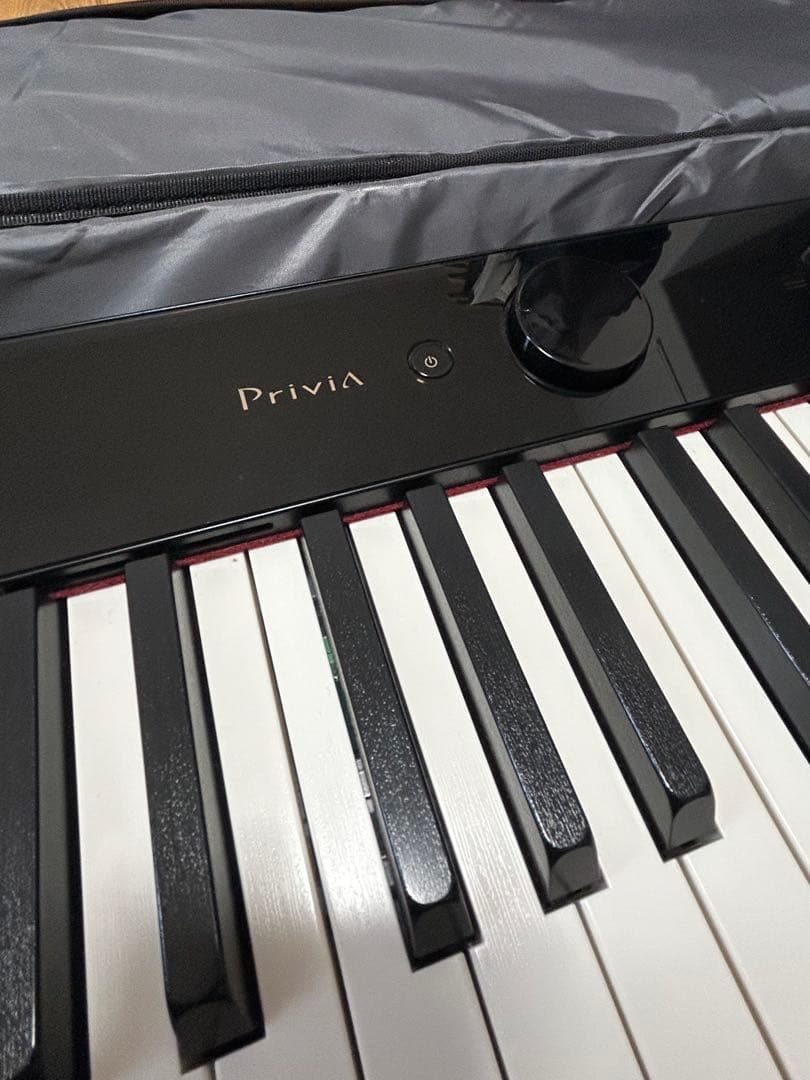 CASIO PX-S1100 WU-BT10 ケース付