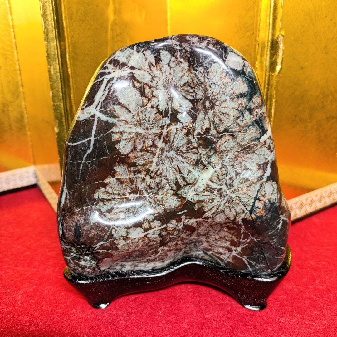 菊花石 岐阜県根尾谷産2.0㌔ 鑑賞石 観賞石 水石 盆石 天然石 置物