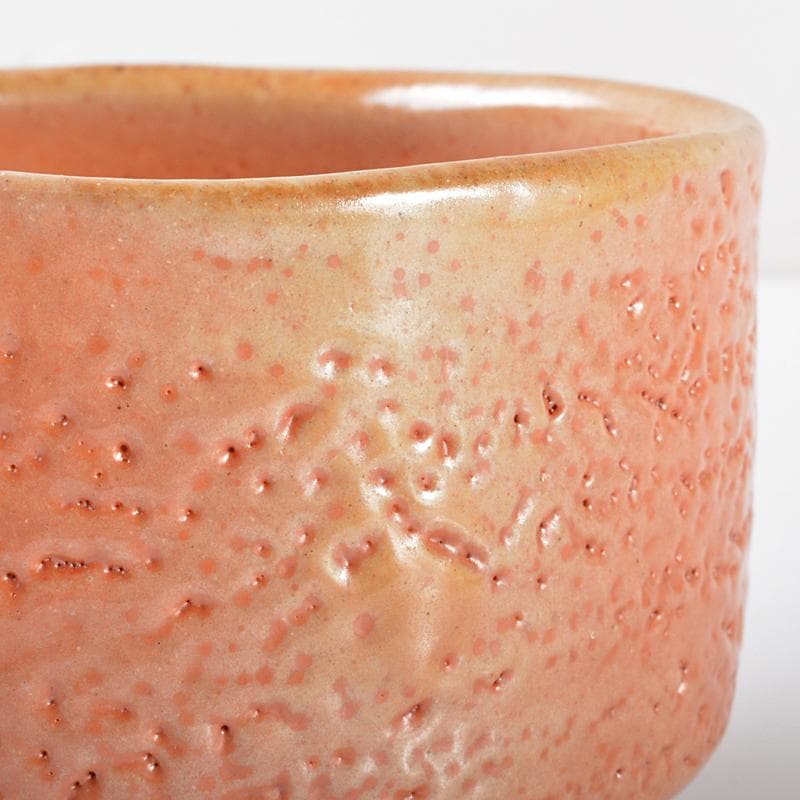 藤原敬介（恭介）作　桃の里窯　備前市の茶碗　鵬雲斎極め箱二重箱　F　R6223