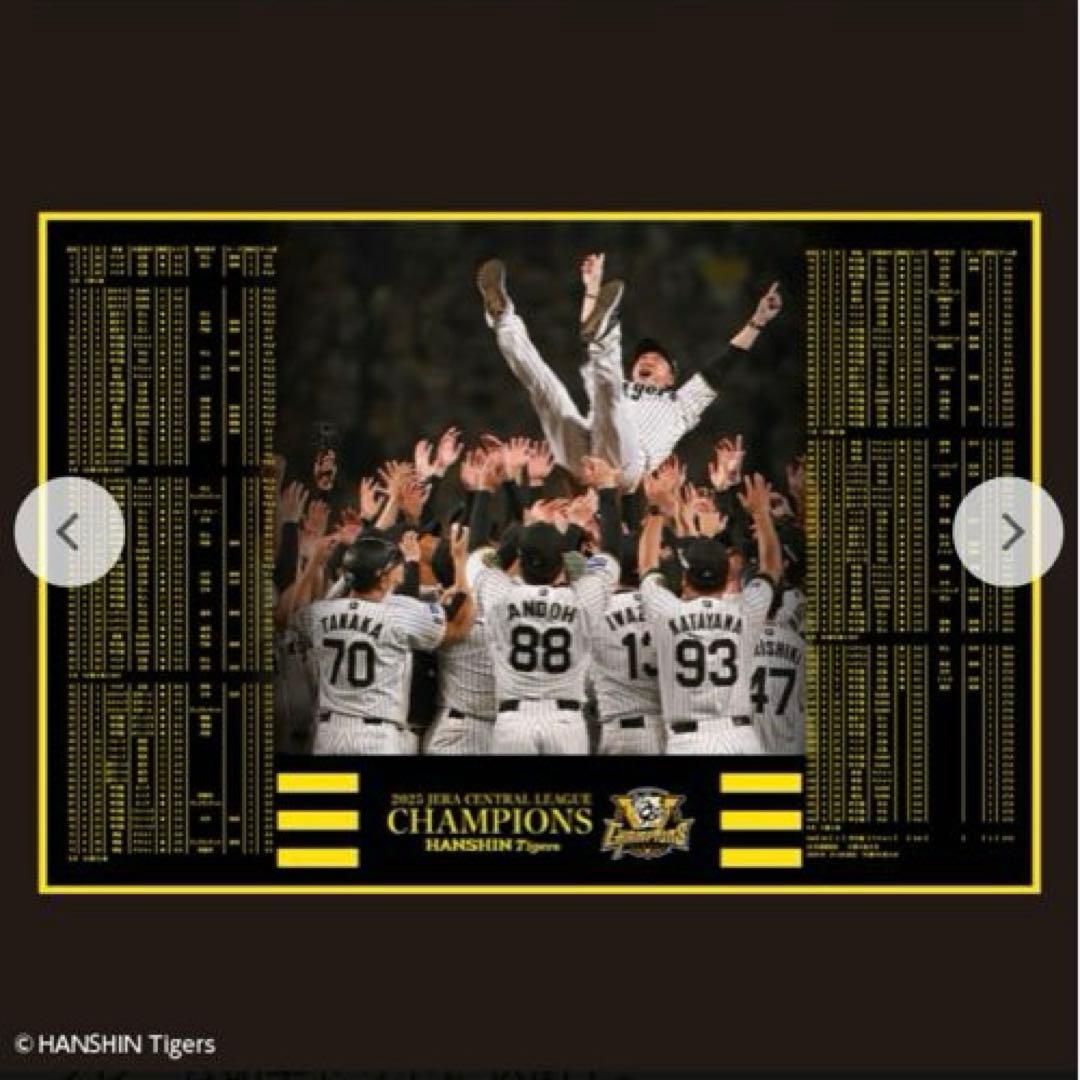 阪神タイガース 2025 JERA セントラル・リーグ優勝記念フレーム　郵便局