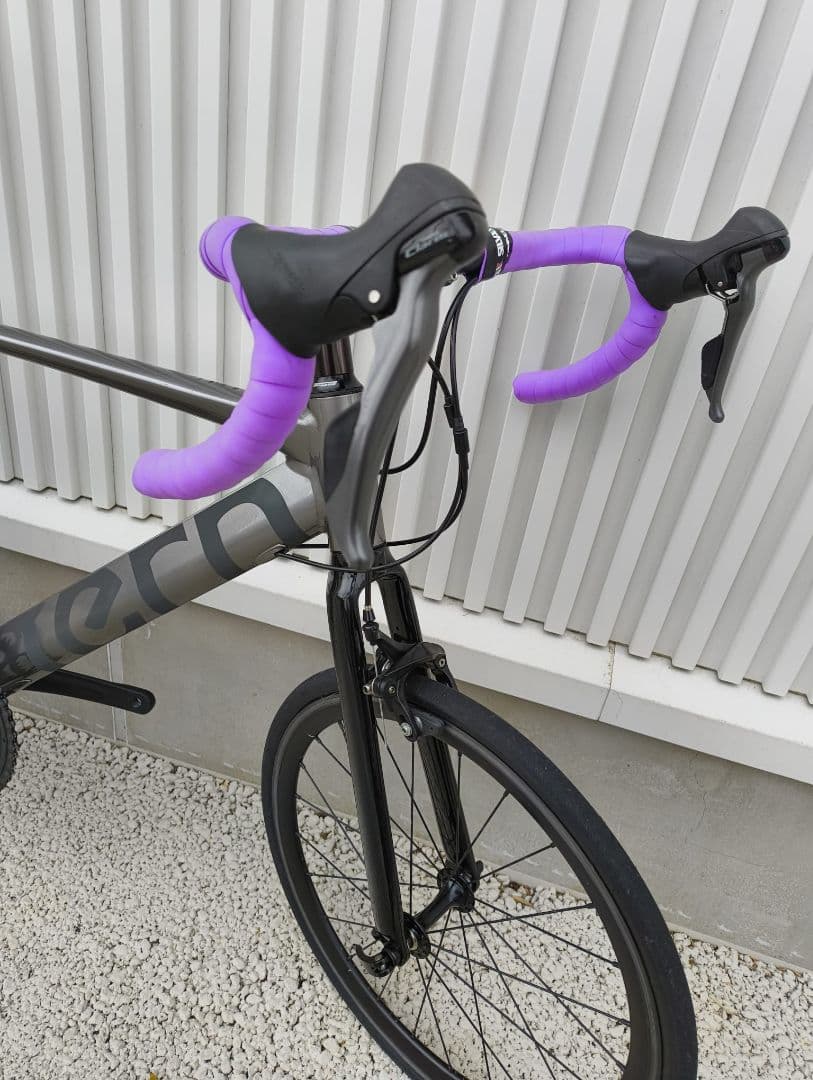 自転車本体 Tern Surge