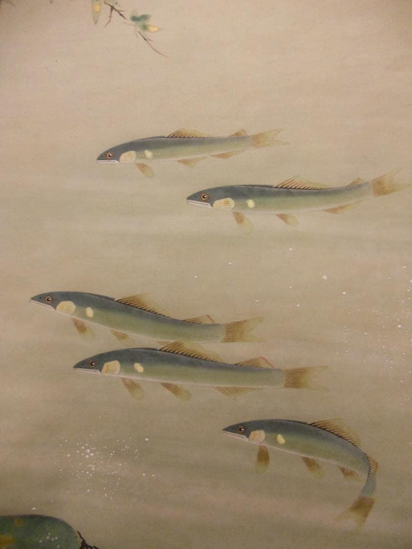 掛け軸 坂本楽山人 作 『 青楓に鮎 』 絹本 希少 軸装 茶道具 掛軸 美品