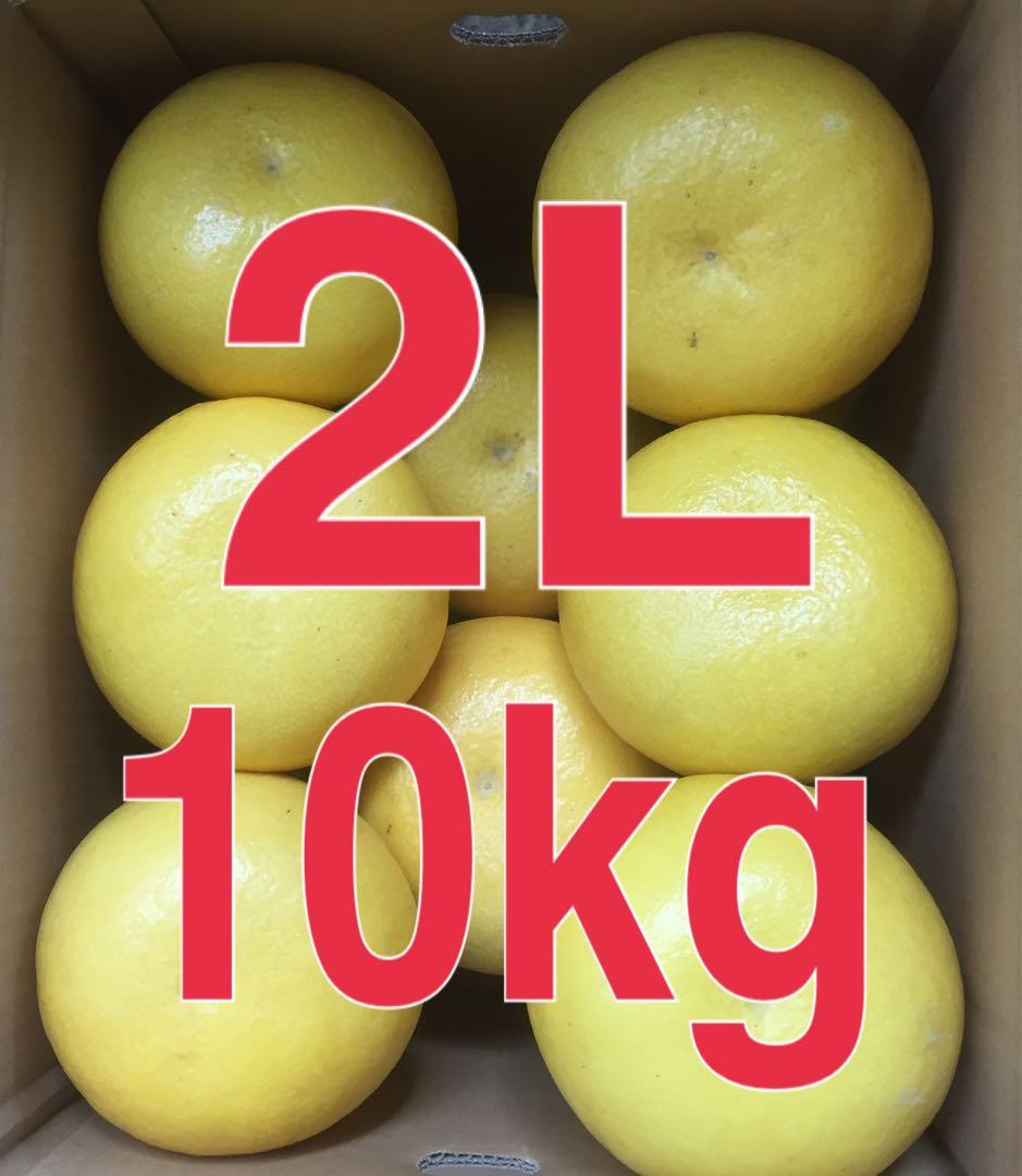 takachocono1ページ ☆文旦【高知県産】家庭用中玉10kg×2箱