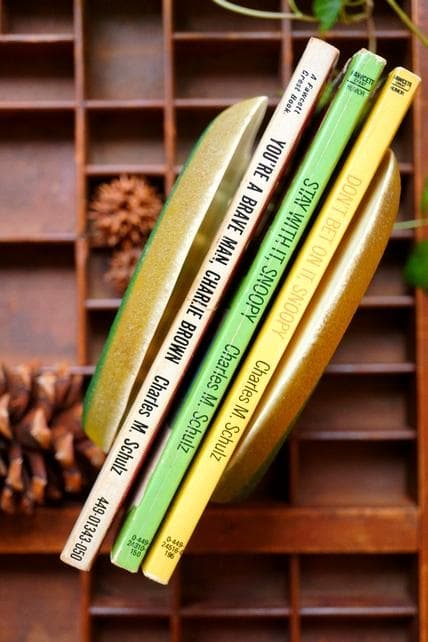 希少 Lucite Mushroom ヴィンテージ マッシュルーム 雑貨 キノコ