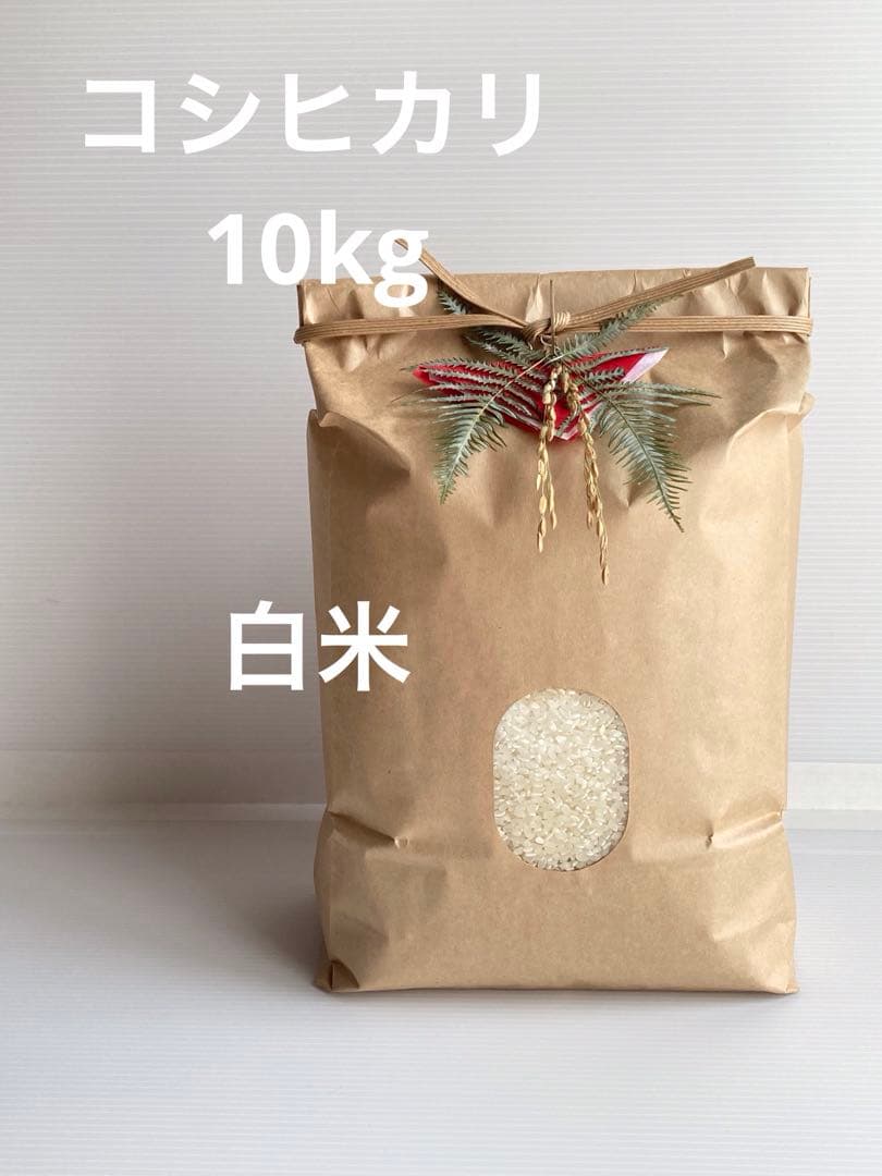 令和7年度三重県産コシヒカリ　白米10kg