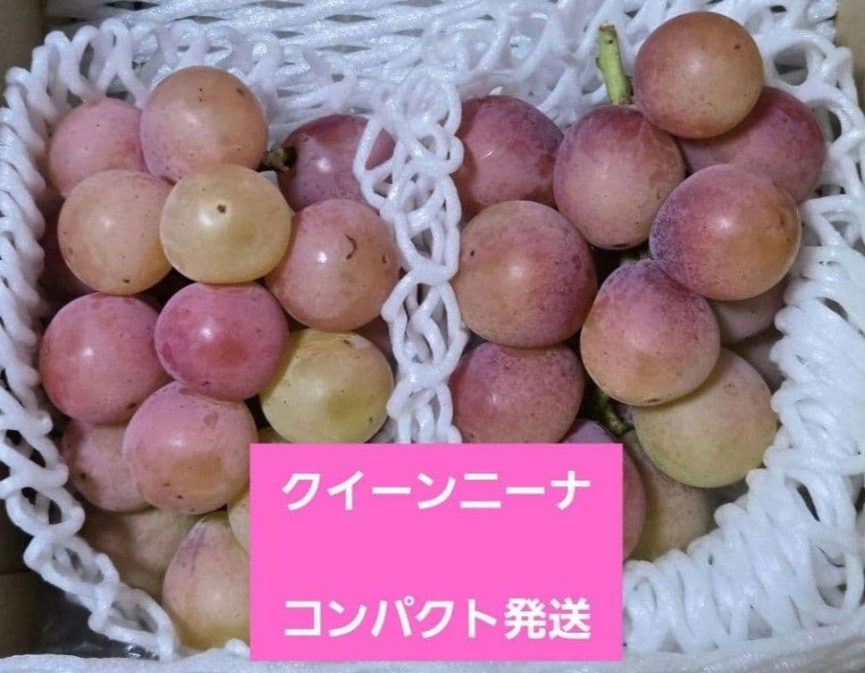 クール便☆朝採り農家直送☆シャインマスカット☆大粒　厳選☆2房☆クイーンニーナ