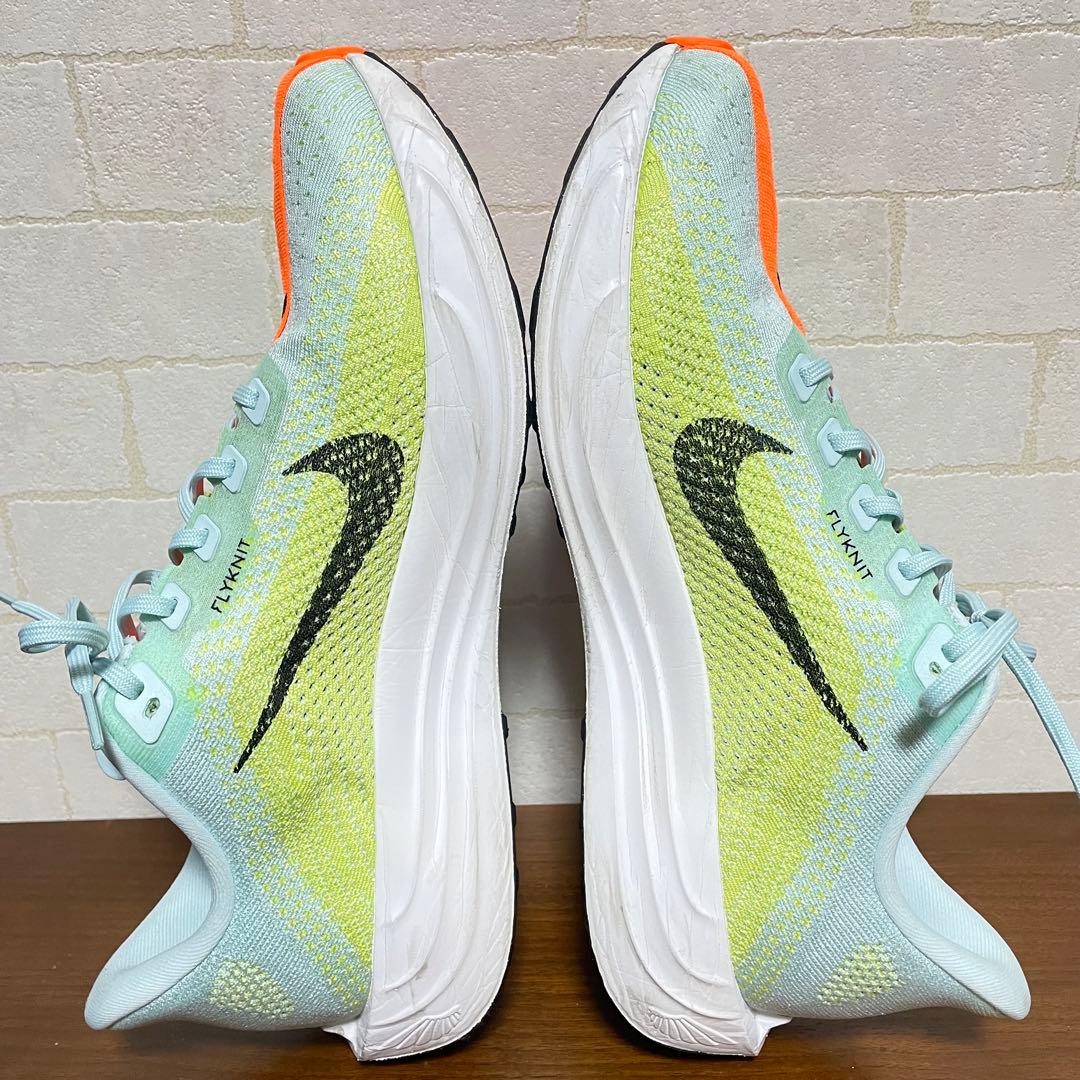 Dai【美品】ナイキ ペガサスプラス 29cm 定価22,000円