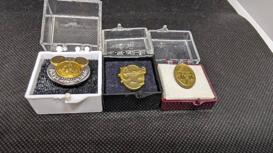 TDL 関係者 キャッスル・勤続1年10年 キャストアワード ピンバッジ セット