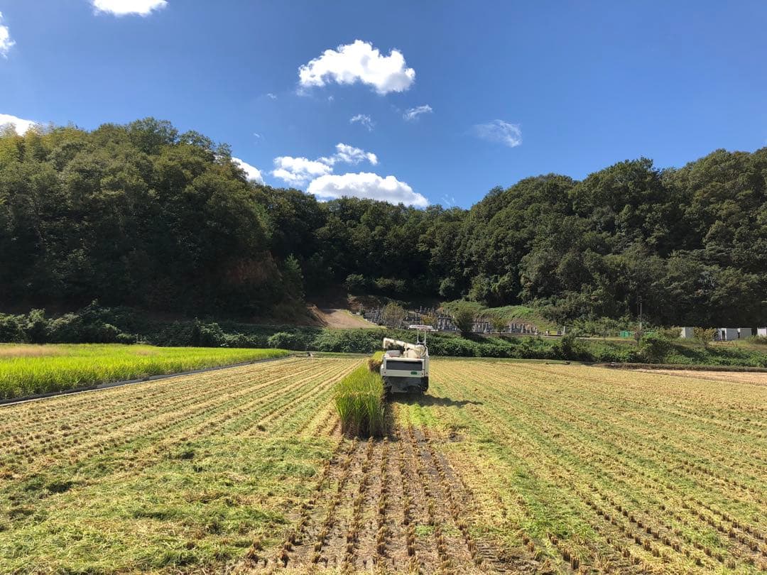 農家直送の美味しいお米 令和7年度産 ヒノヒカリ 20キロ