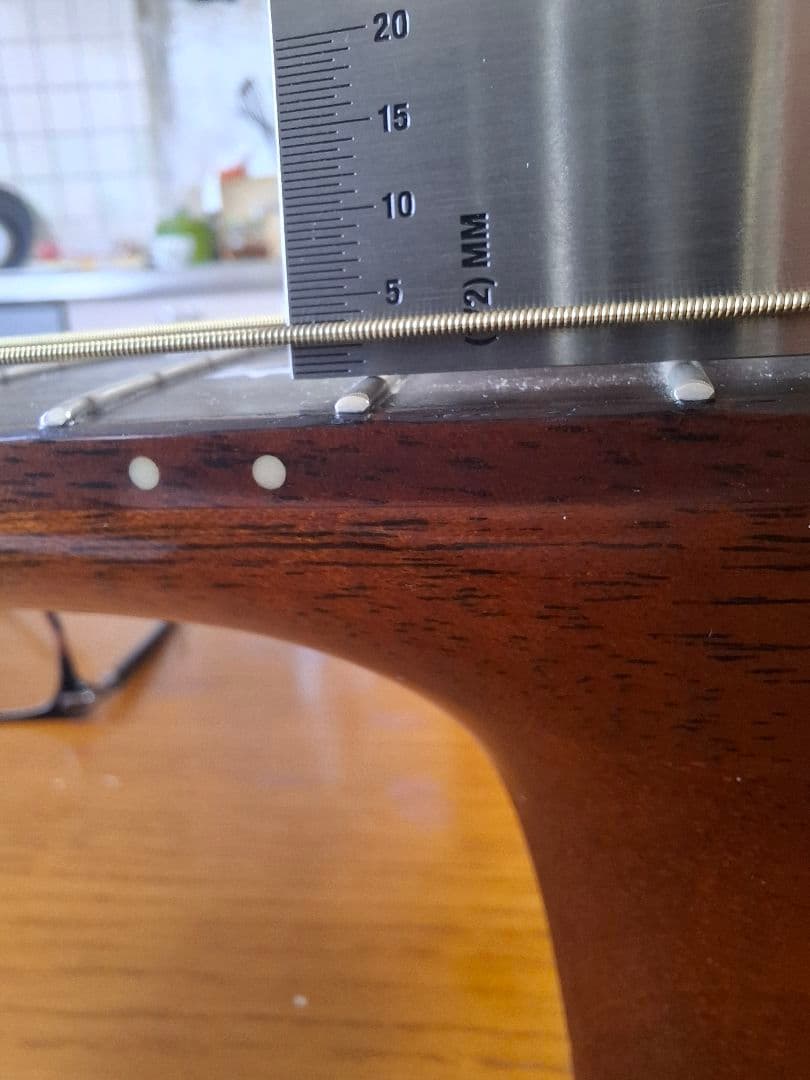 モーリスS101　エレアコ　ケース付き