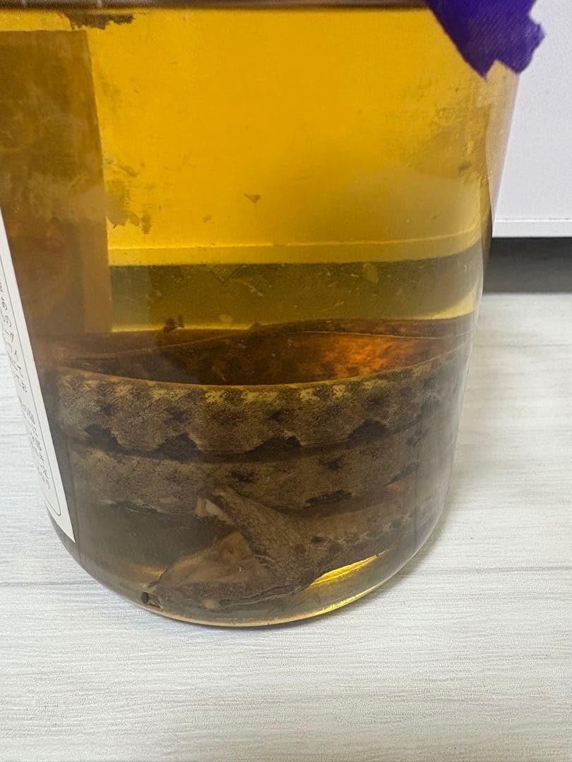 八重泉酒造　ハブ酒