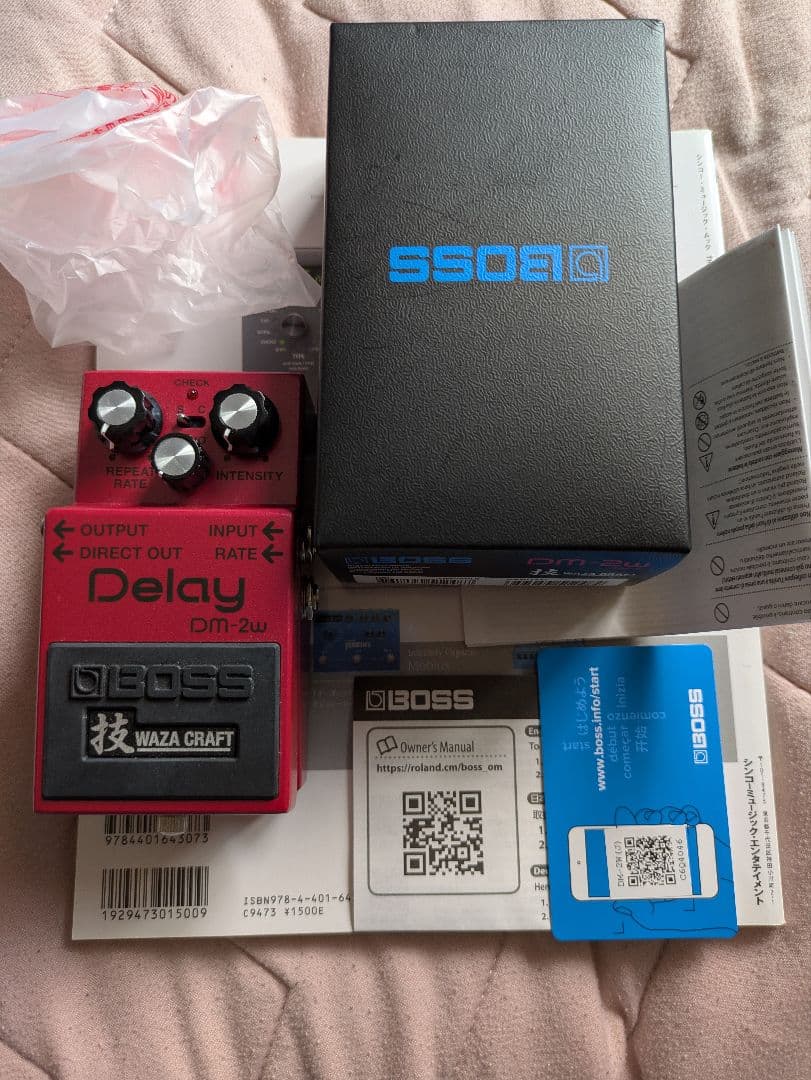 ギター BOSS DM-2W