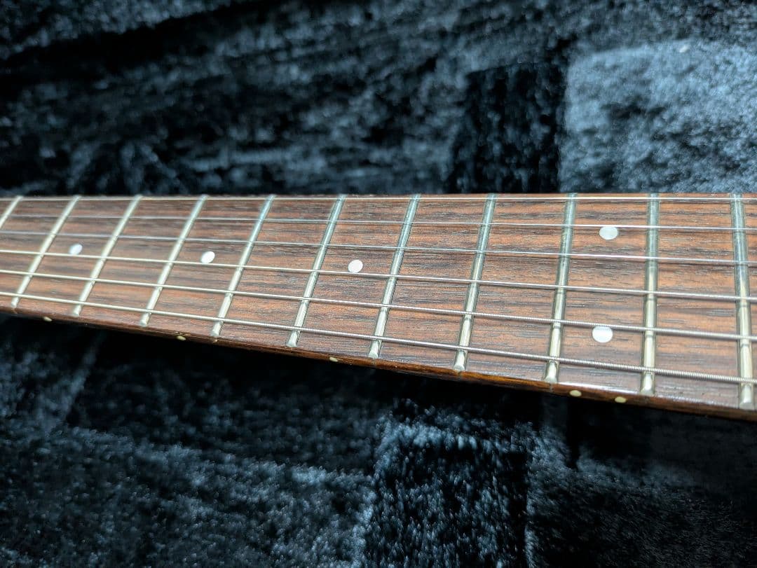 FERNANDES APG 100 24F仕様