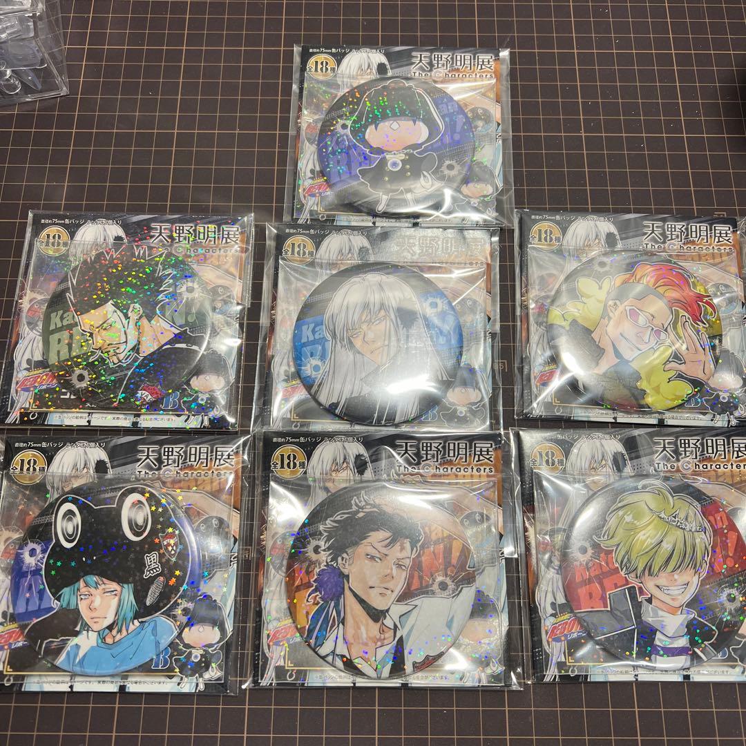 天野明展 家庭教師ヒットマンREBORN!缶バッジver.B 18種コンプリート