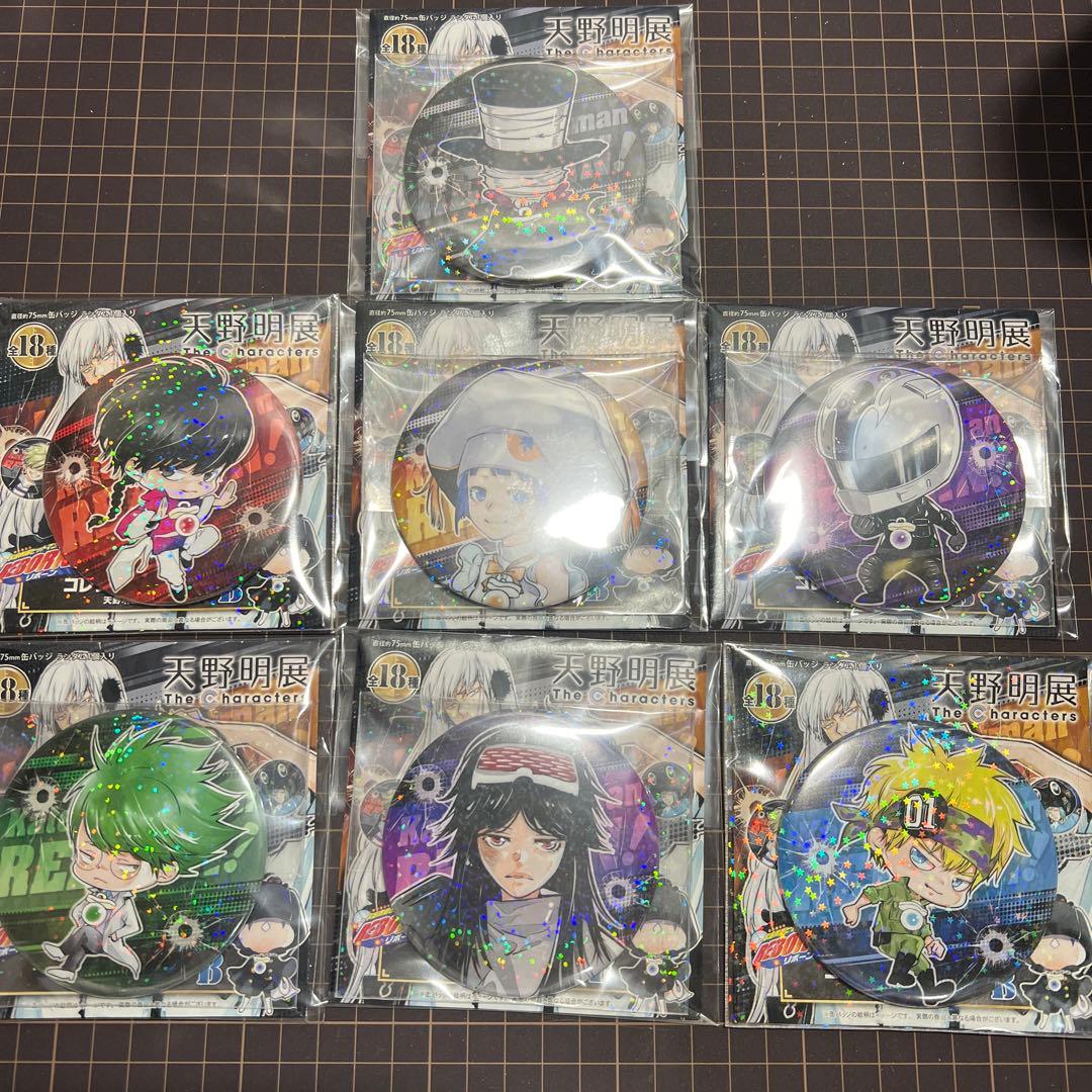 天野明展 家庭教師ヒットマンREBORN!缶バッジver.B 18種コンプリート