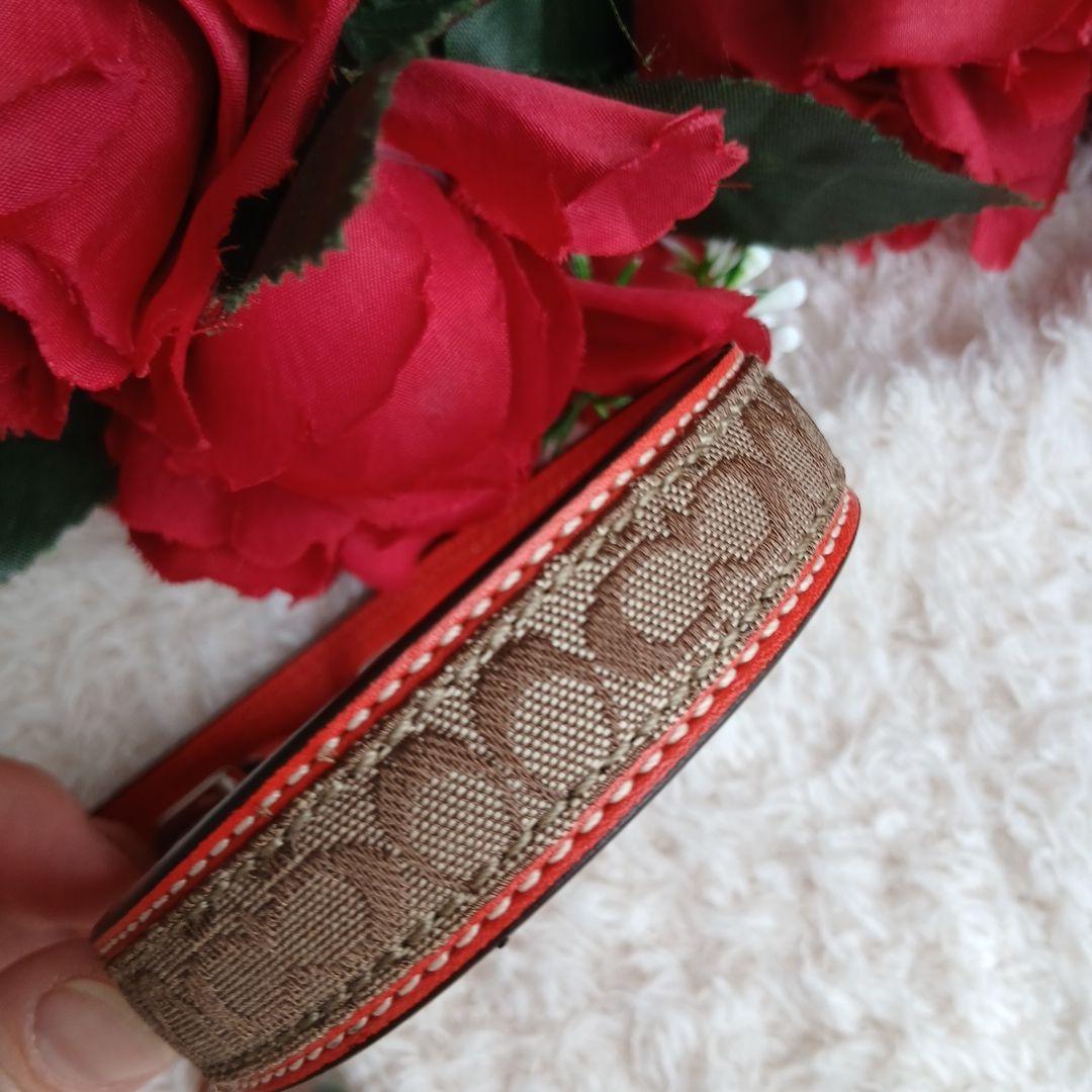 新品　未使用　COACH　コーチ　犬　シグネチャー　首輪　レア　XS　小型犬