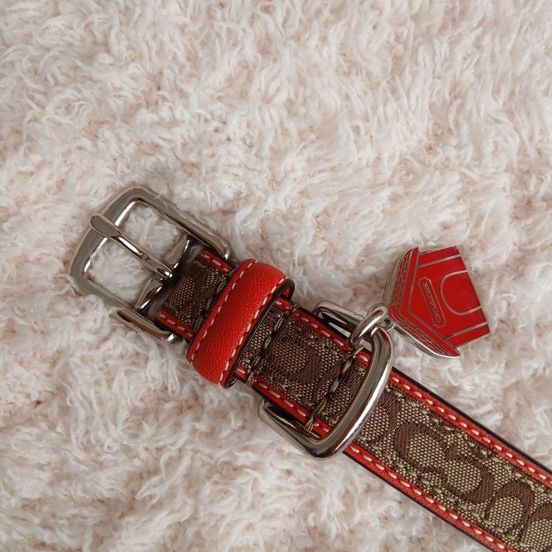 新品　未使用　COACH　コーチ　犬　シグネチャー　首輪　レア　XS　小型犬