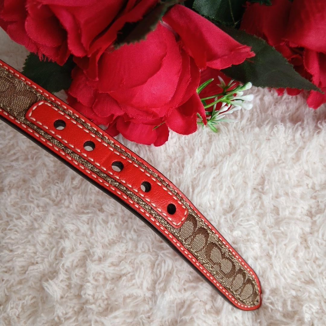 新品　未使用　COACH　コーチ　犬　シグネチャー　首輪　レア　XS　小型犬