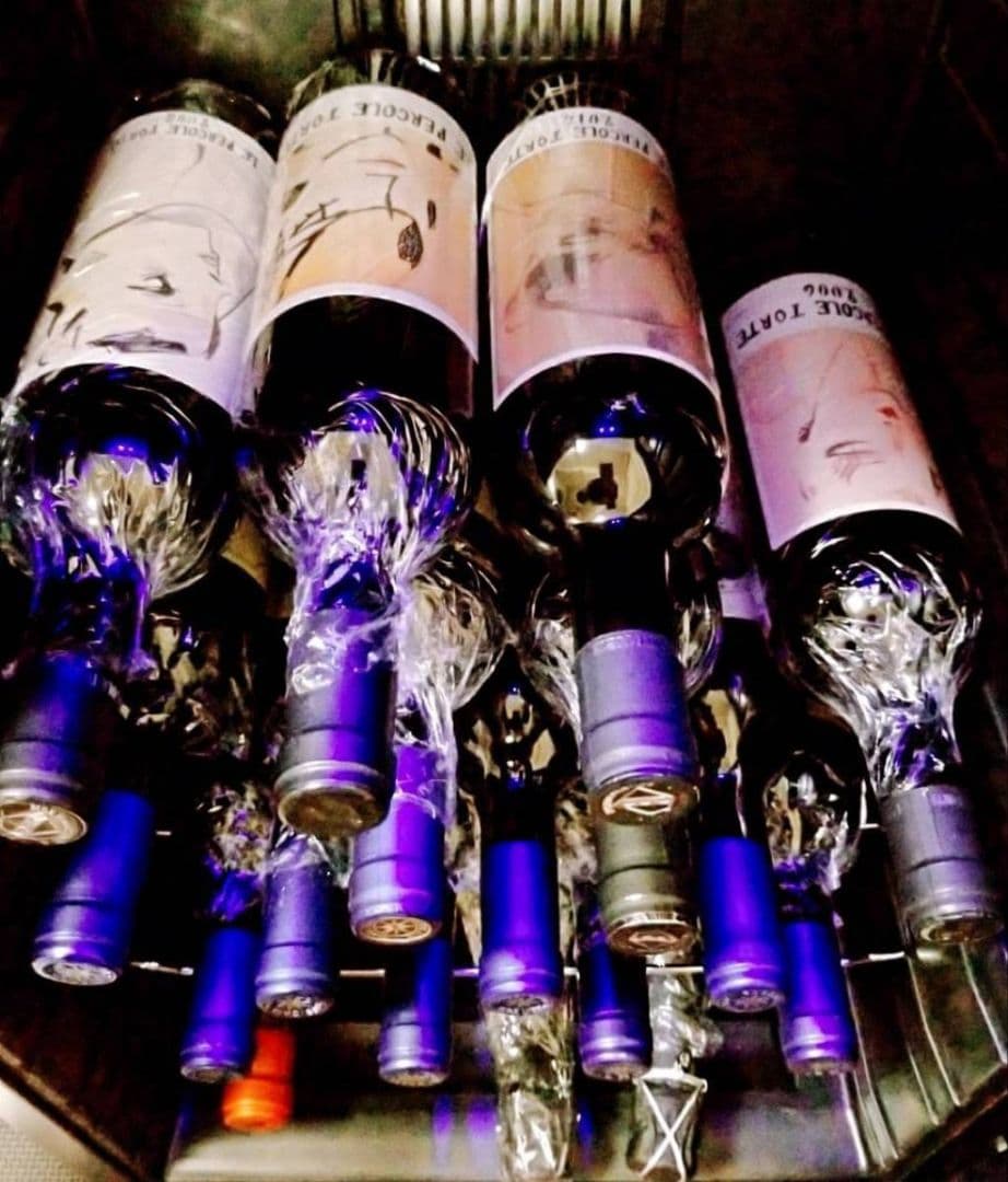 希少! 1993年 シャトー トロロンモンド