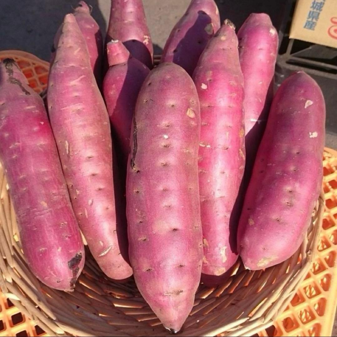 【数量限定】2025年品評会受賞 べにはるか ほしいも 5kg 干し芋 訳あり