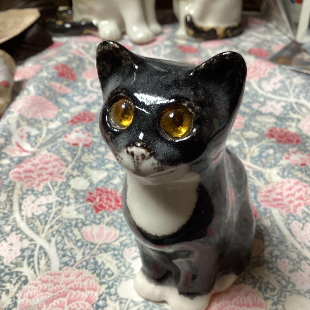 ウィンスタンレイキャット、ケンジントンキャット、お茶目なサイズ1、黒白の貴重な子