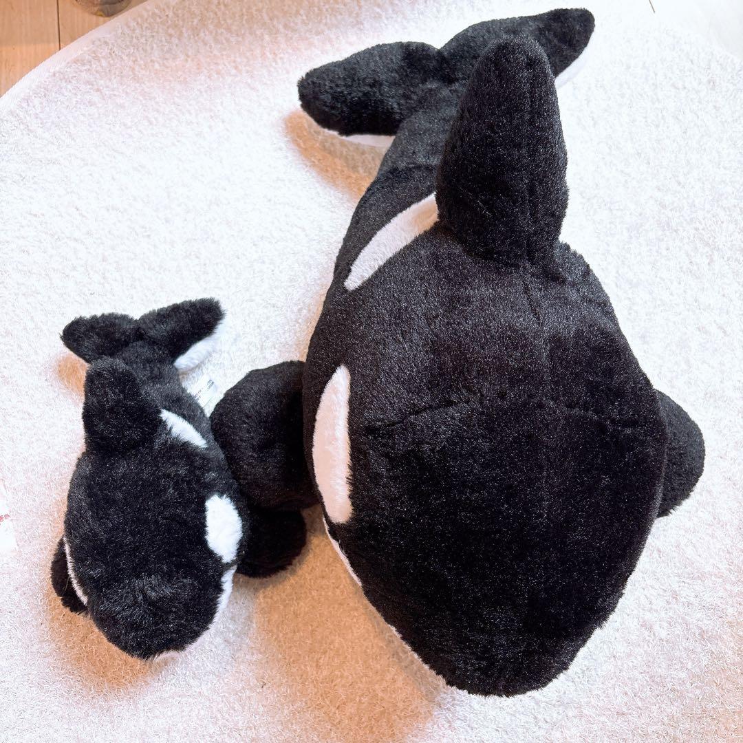名古屋港水族館 シャチ くじ ぬいぐるみ セット レア