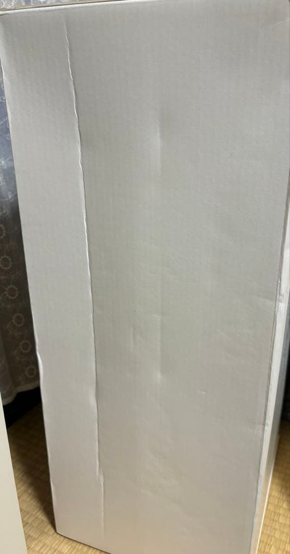 REOREO　10月25日購入