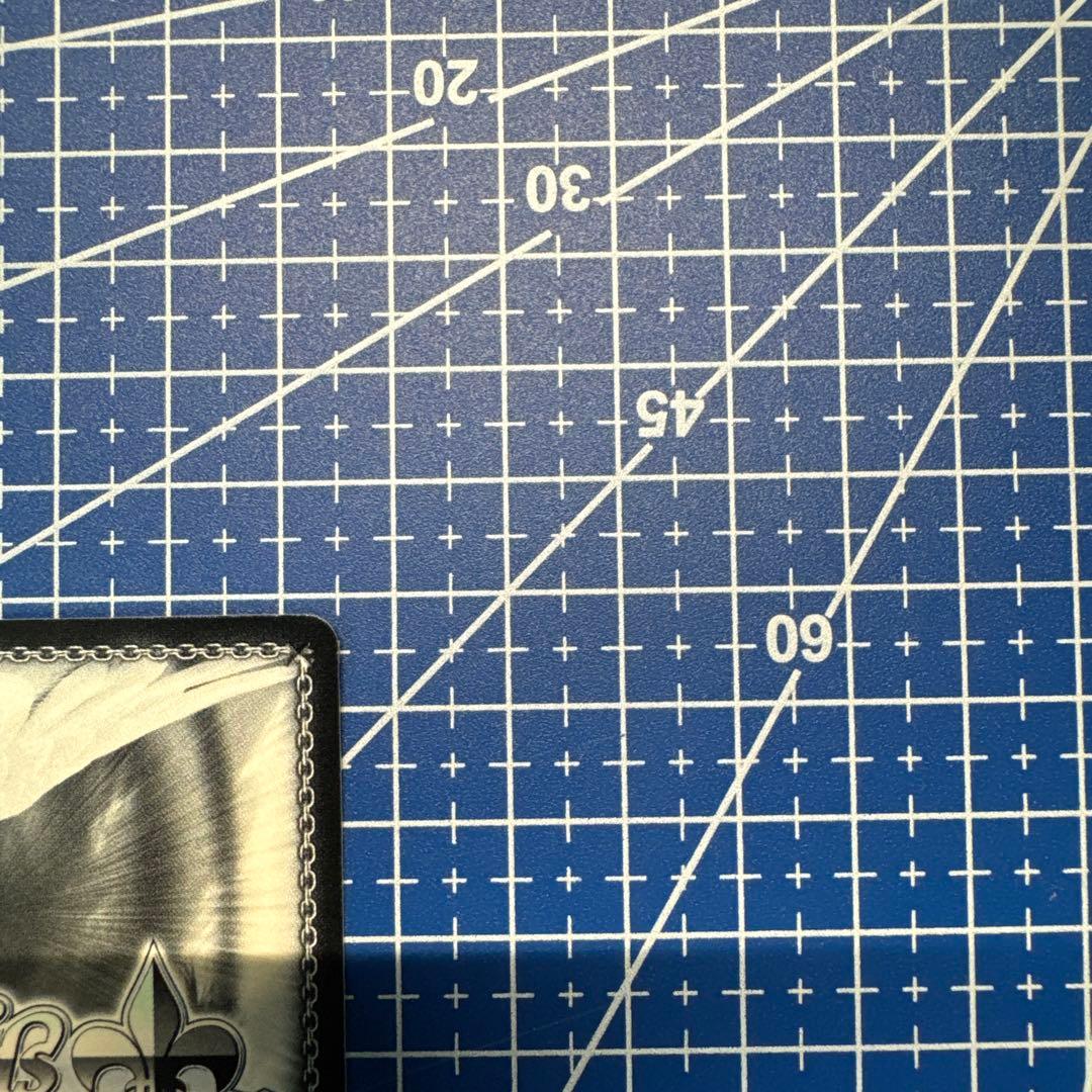 ヴァイスシュヴァルツ スニーカー文庫 情報と感情 長門 SP　431