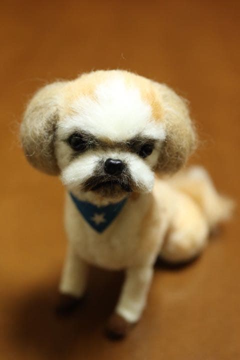 羊毛フェルト　シーズー