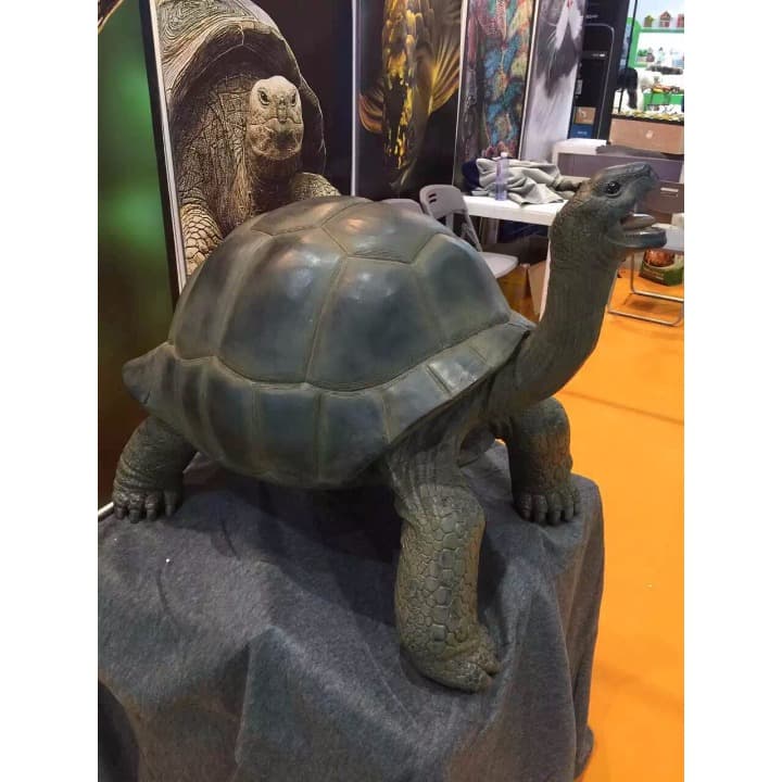 ☆（生き生きシリーズ）☆アルダブラゾウガメ☆（強品）☆