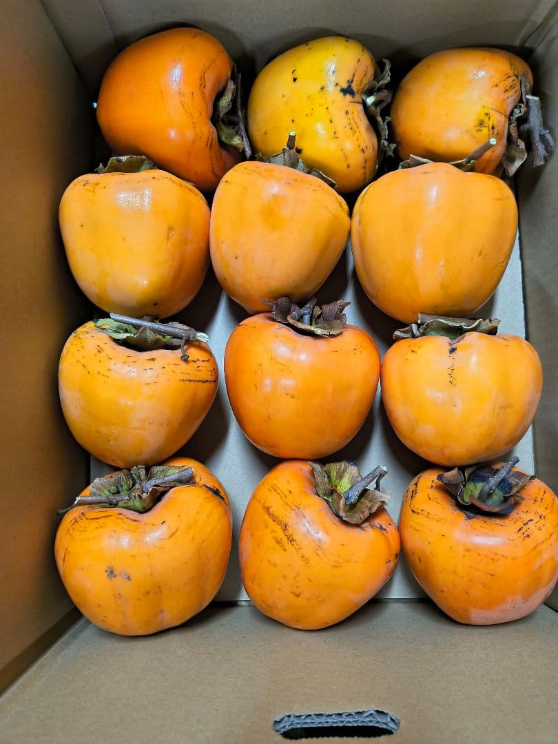 最終 お値打ち価格♪江戸柿（渋柿）約20kg 奈良県西吉野産干し柿用/吊るし柿用