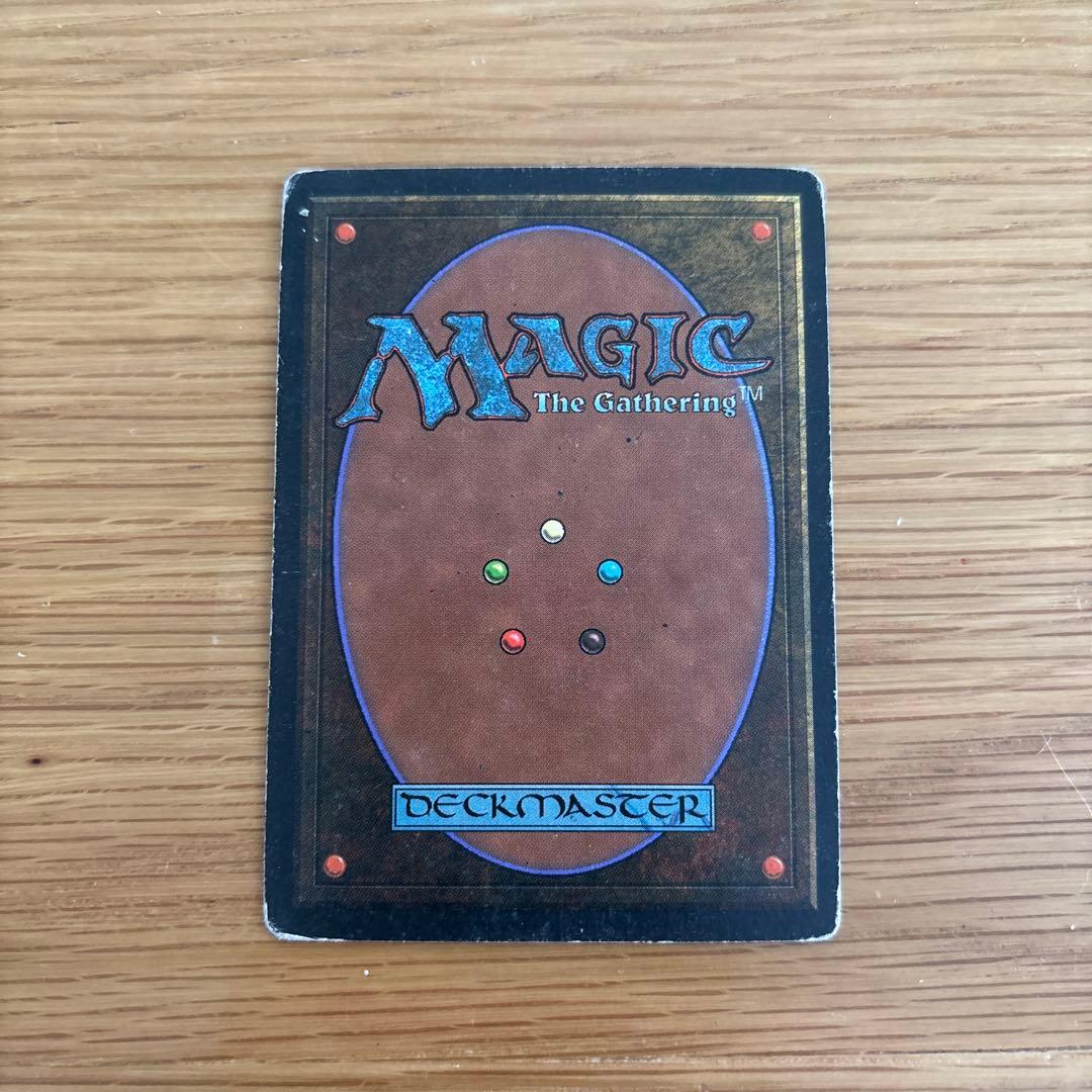 Taiga マジック：ザ・ギャザリング 土地カード