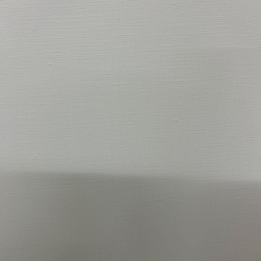 [新品/特別価格]キャンバス　F40 2枚セット　クレサン　リネン　画材